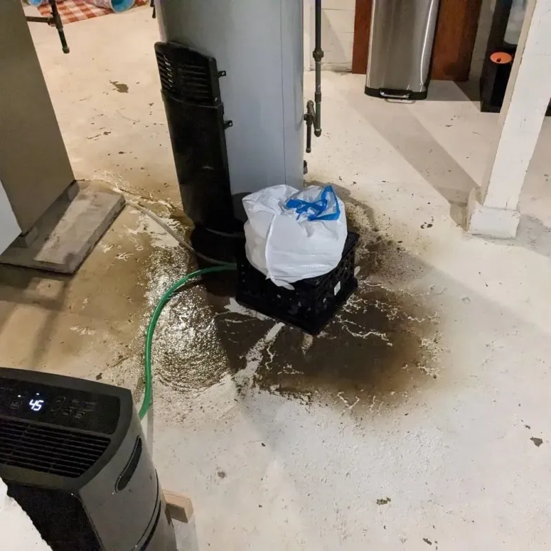 Sewage Backup Cleanup Service in Sitka, AK